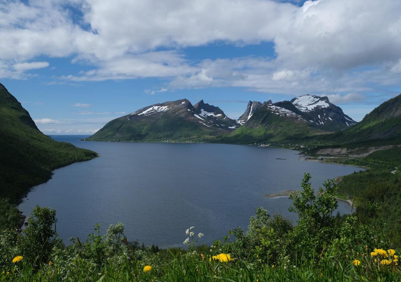 Destination Senja - Skaland Apartment ภายนอก รูปภาพ