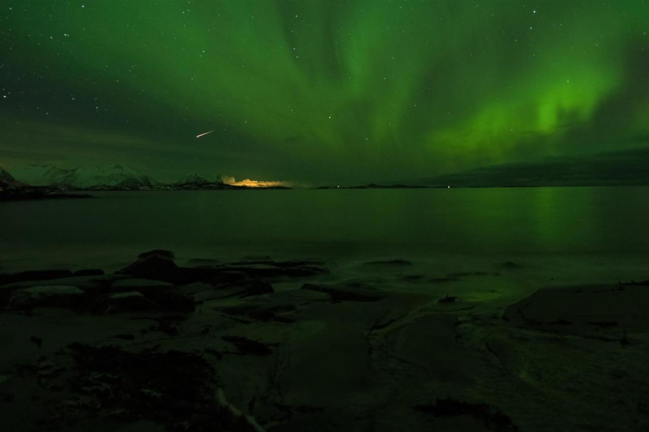 Destination Senja - Skaland Apartment ภายนอก รูปภาพ