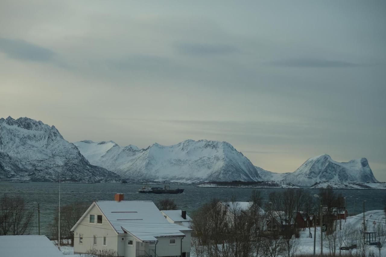 Destination Senja - Skaland Apartment ภายนอก รูปภาพ